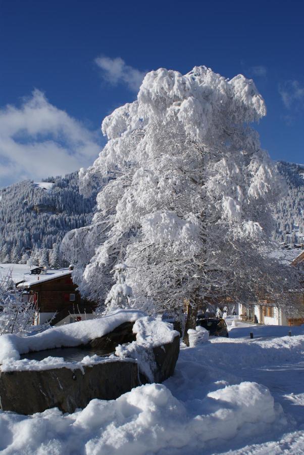 Ferien- Und Familienhotel Alpina Adelboden Exterior foto